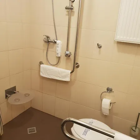 Hotel Feniks מלון פוזנן